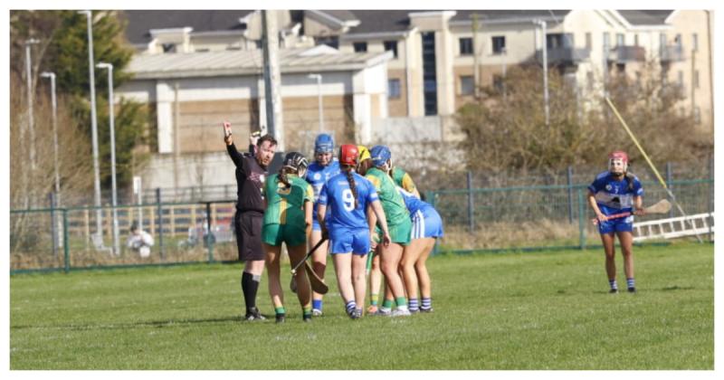 First defeat of Division 2 campaign for Laois Camogie as Meath show their class