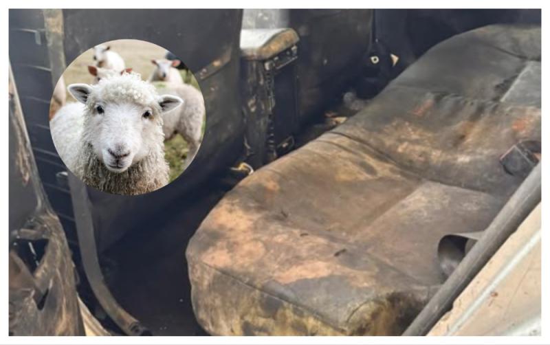 'Farmyard chic' - NCT testers took drastic action when this car arrived for test