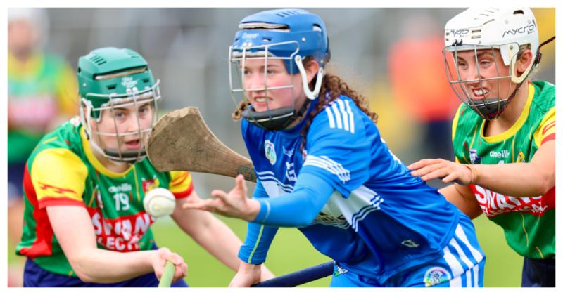 Laois Camogie hold on against Carlow to record second win in Division 2