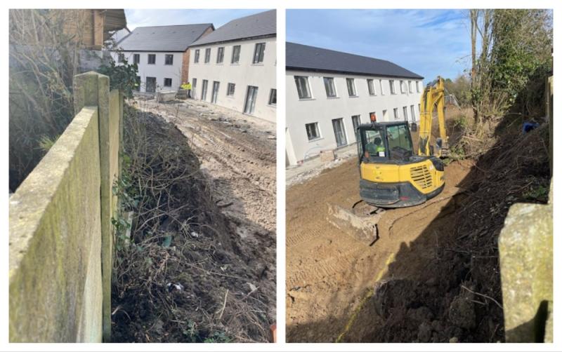 Portlaoise residents 'petrified' as abandoned gap between estates infested by rats