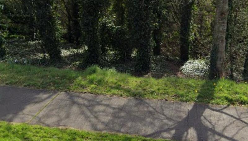 Garda&iacute; hunt for creepy flasher who performed public sex act at popular Irish walking spot