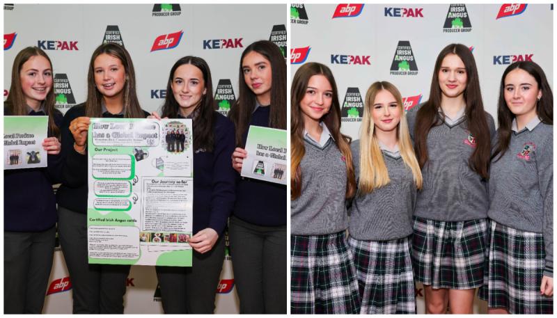 Laois students exhibit their expertise in Croke Park