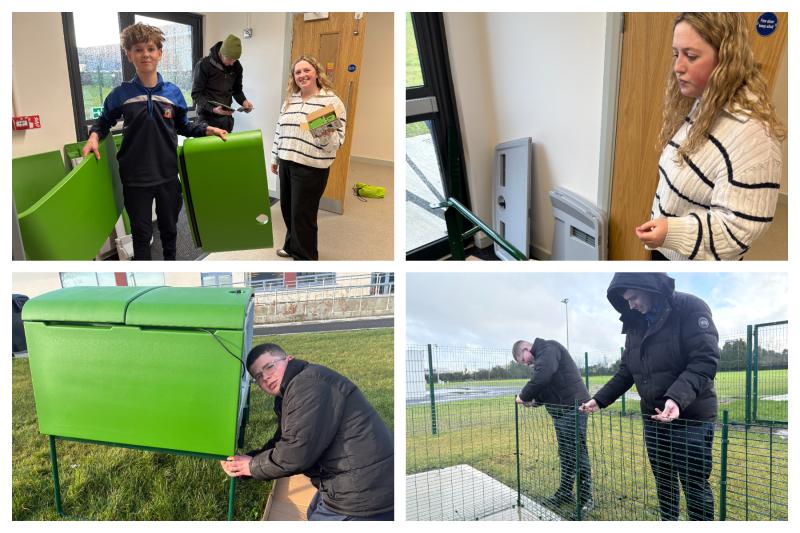 Laois school teaching business with chickens