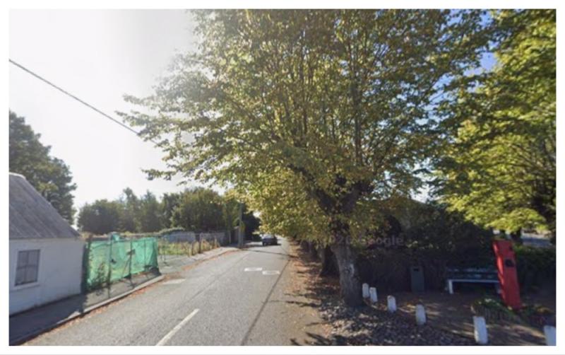Uncut trees causing problems for road users in Laois village