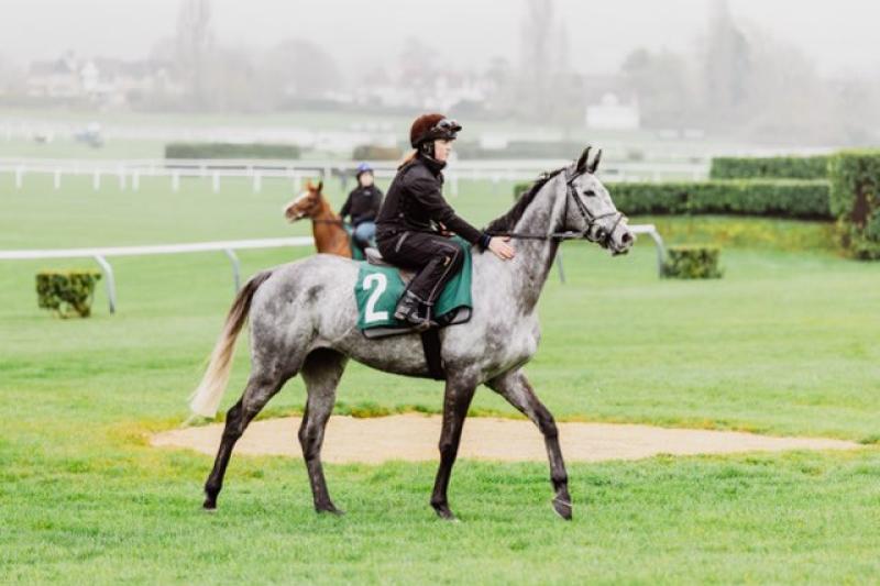 Laois vet student rides out for Willie Mullins stables at Cheltenham