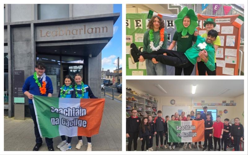 Laois school goes green to celebrate Seachtain na Gaeilge