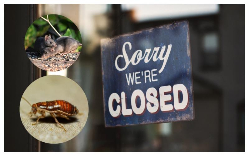 Cockroaches and mouse droppings found as twelve food businesses forced to close in March 