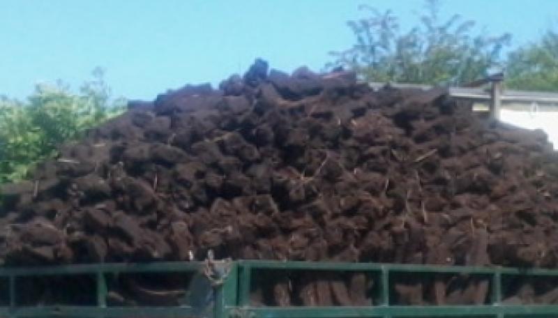 turf