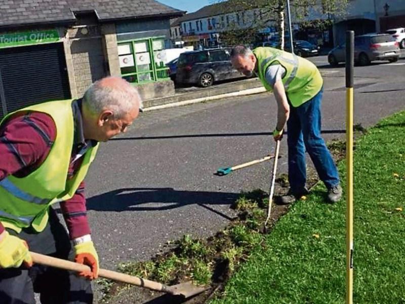 portlaoise tidy towns