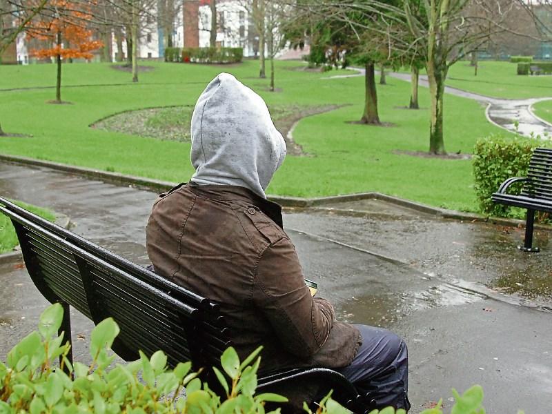 Homeless laois people now sleeping in parks