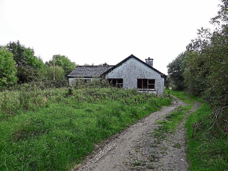 att Dunne sells Daingean land at auction