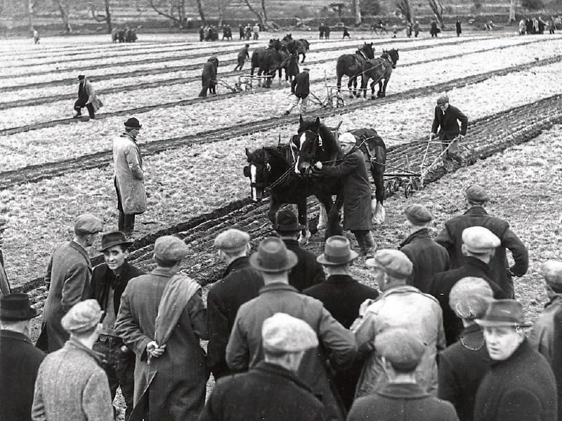 Laois hosted Ploughing 75 years ago