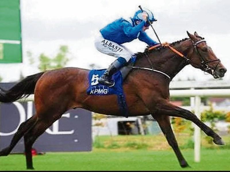 The Master of Ballydoyle, Aidan O'Brien  is set for another successful year at the Derby, a race he has recently dominated