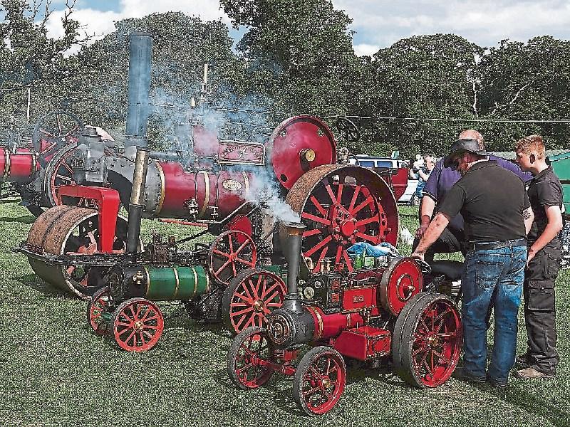 Fifty five steam engines for 55th Stradbally Steam Rally