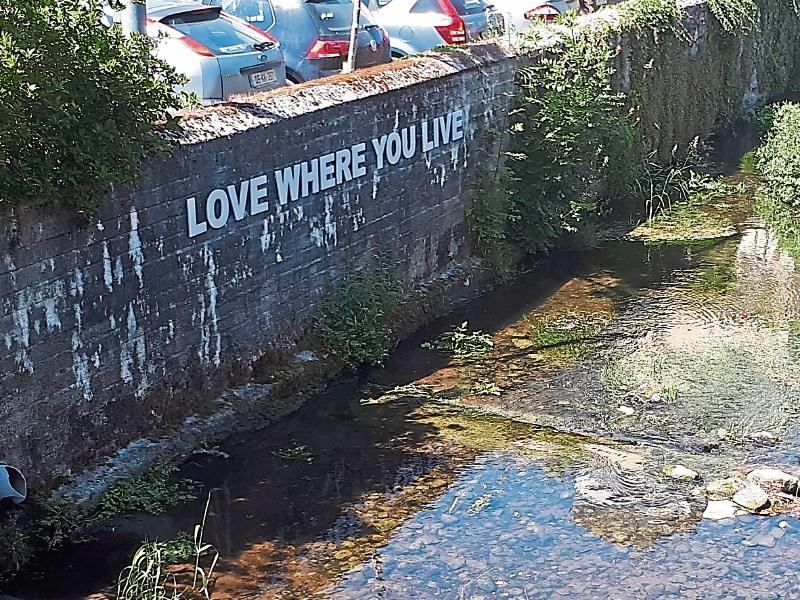tidty towns laois