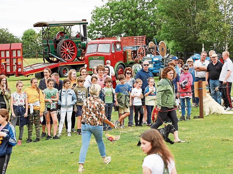 Two more festivals in Laois announced for this summer