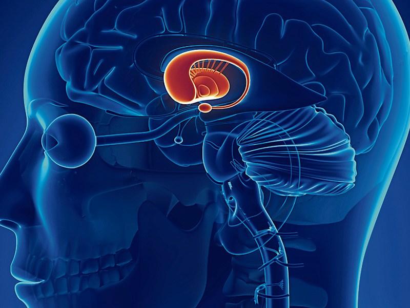 DR EDDIE MURPHY: The heartbreak of rare Huntington's Disease