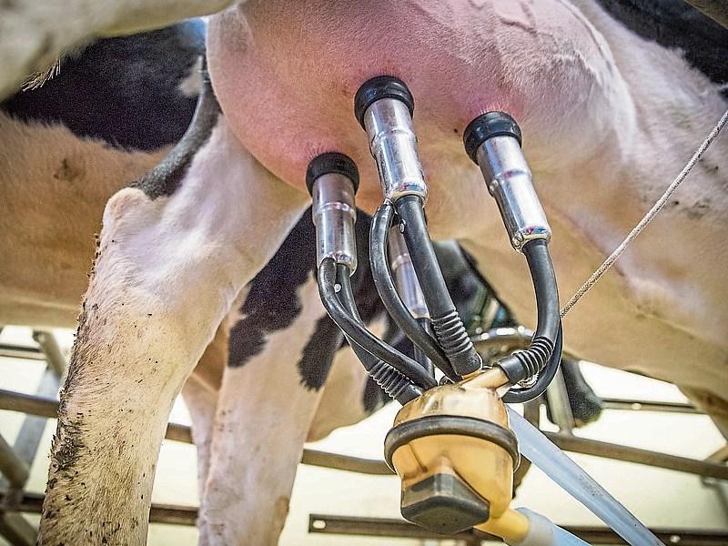 Laois power outages playing havoc with robotic milking machines