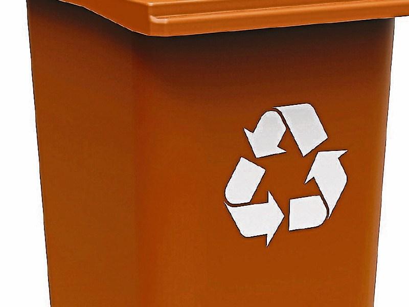 Portlaoise waste energy plans stall as Laois council looks for more info
