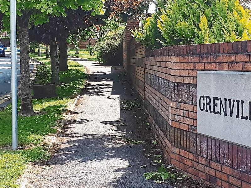 Fears that large scale housing plan could see Laois being a &lsquo;guinea pig&rsquo;