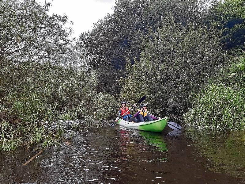 Uncovering a Laois gem for all to enjoy