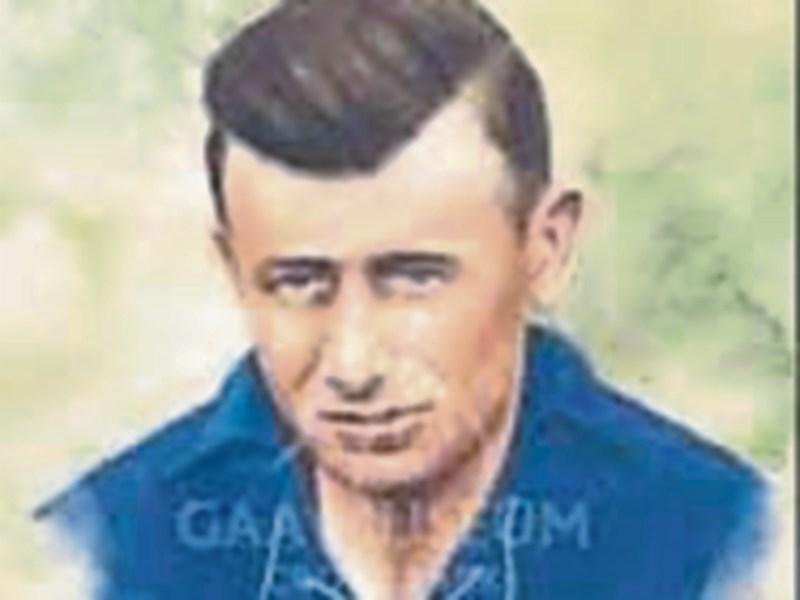 Laois GAA legend's estate in ‘no man’s land’