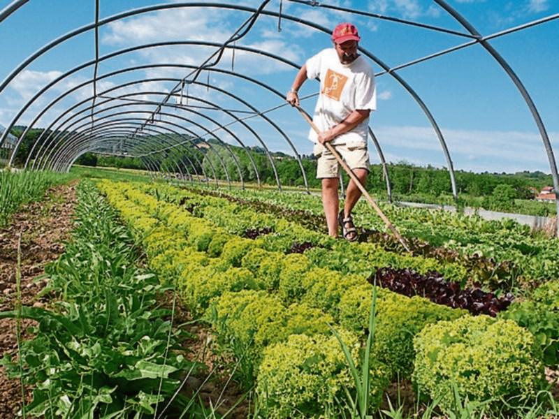 Organic Farming Scheme is re-opened for new applicants