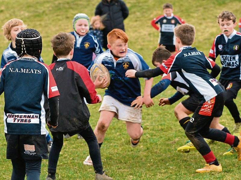 leinster rugby laois portlaoise irfu