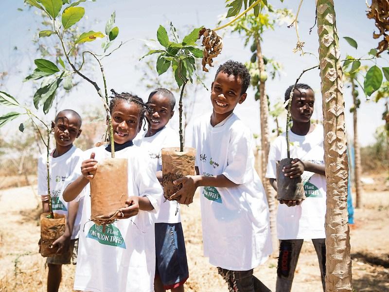 Laois thanked for its support of Self Help Africa&rsquo;s &lsquo;One Million Trees&rsquo; campaign
