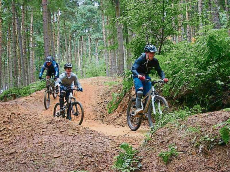 Update released on Coillte's Slieve Bloom mountain bike trail