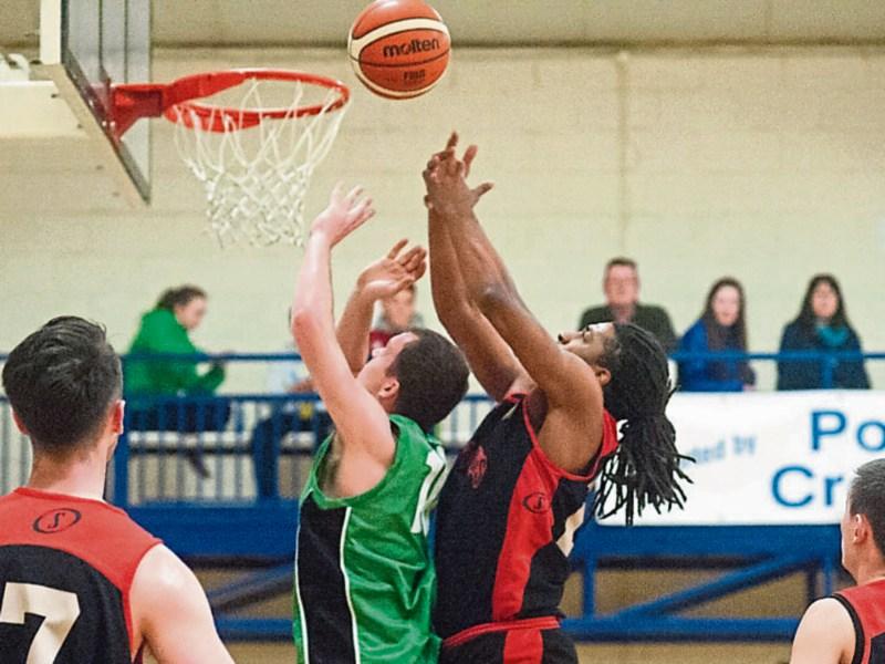 Kestrels fly high again