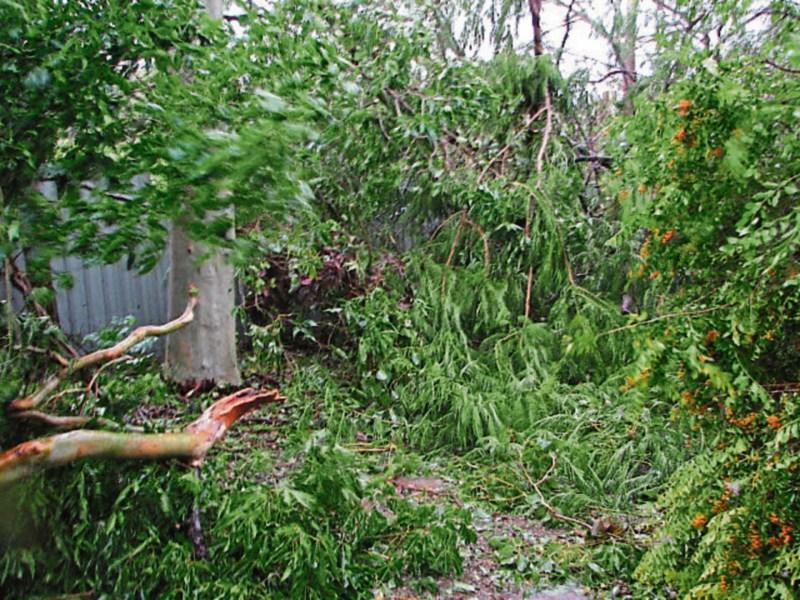 Making over your garden X