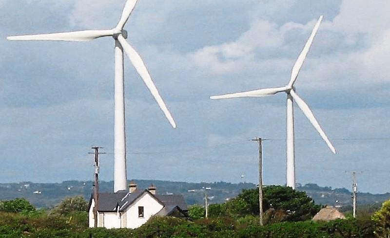 Pearl water mussel forces delay of Laois windfarm construction