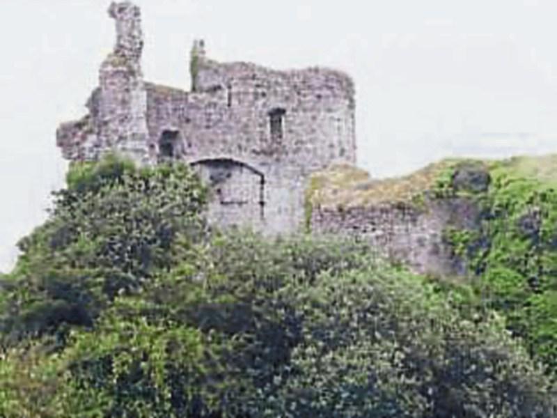 Lea Castle Portarlington.