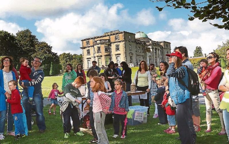 Bee Movie, High Nellies, craft beer and lots more Heritage Week fun in Laois