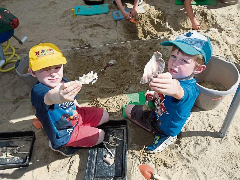 Heritage a hit in Abbeyleix