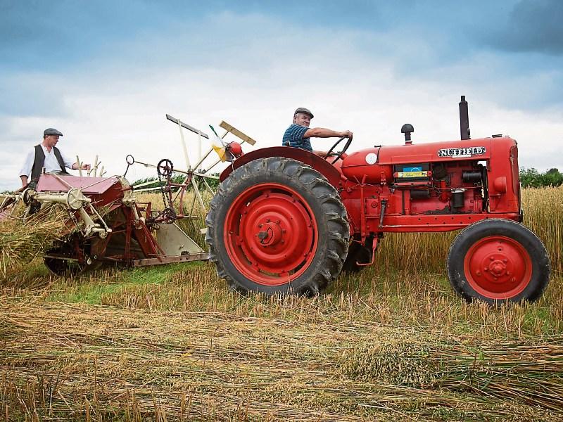 All roads lead to Laois for the threshing good time