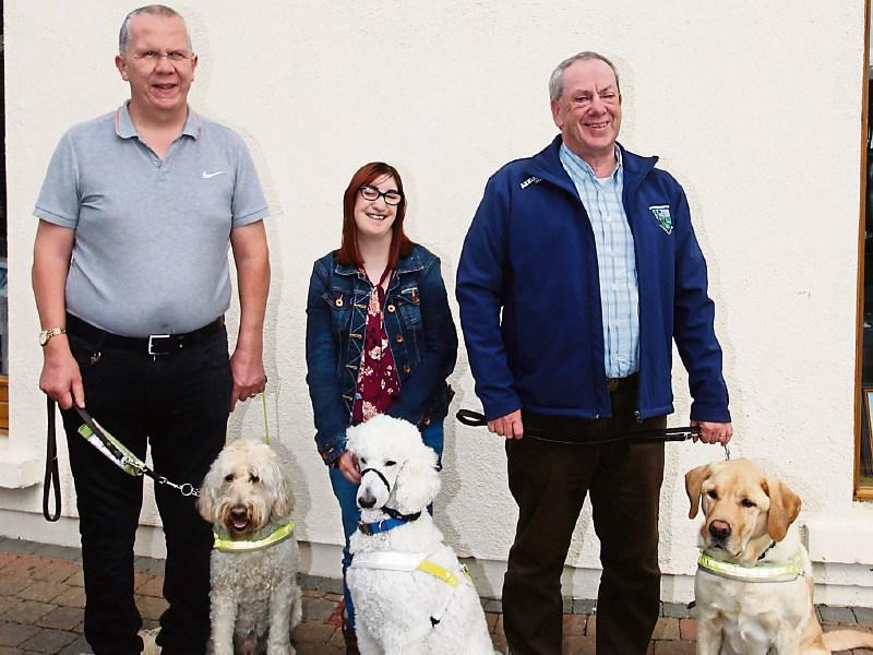 Doggy walk in aid of Laois Guide Dogs
