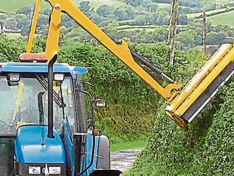 Laois road users  are suffering car damage due to hedge overgrowth