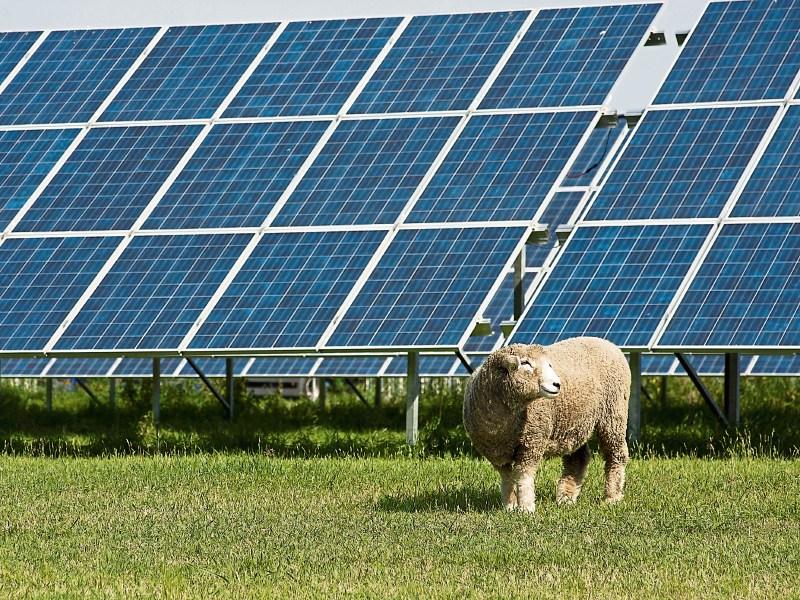 Laois solar farms appealed to An Bord Pleanala