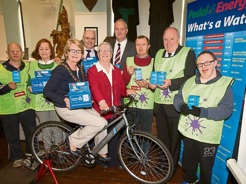 'Bringing home the gold is always good' Abbeyleix celebrates Tidy Towns win