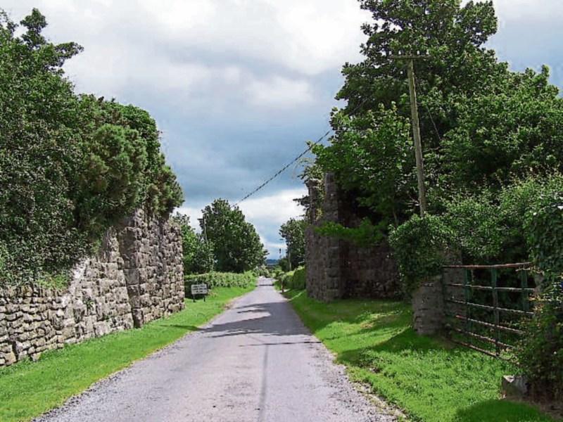 Tidy Towns Report: Works complement tranquil rural charm in Attanagh