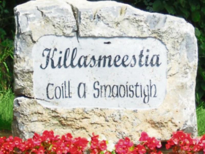 Tidy Towns Report: Efforts clearly visible in Killasmeestia