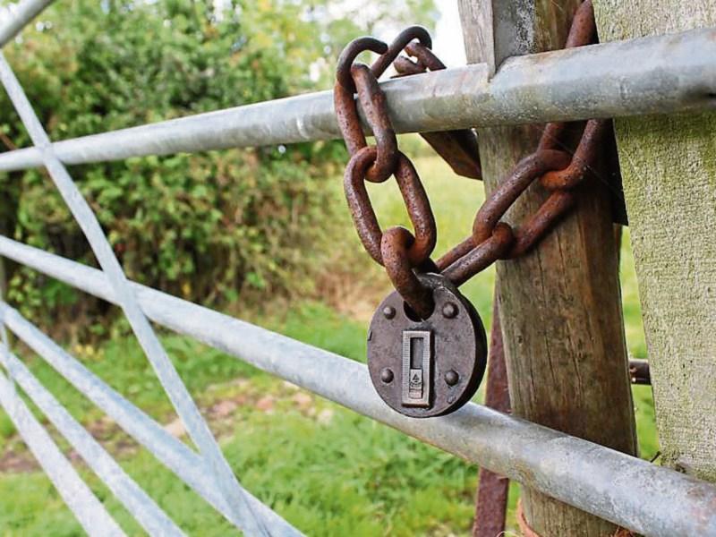 Crime, Laois, politics, garda&iacute;, gangs farming