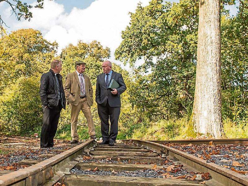 Full steam ahead for Stradbally shed