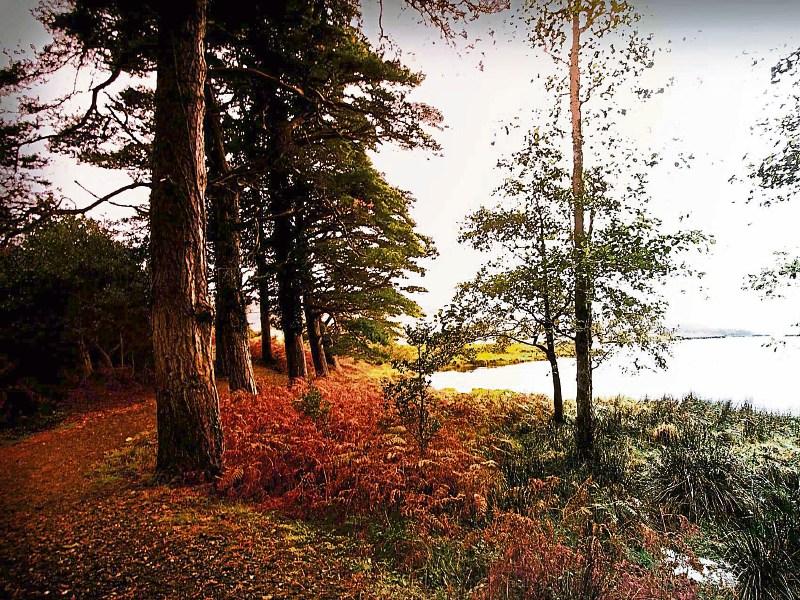 'A veritable inferno' of autumn colour