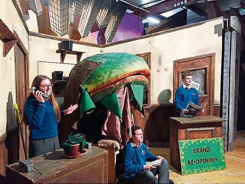Heywood CS opens a Little Shop of Horrors this Thursday