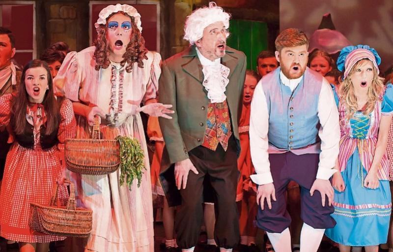 Portlaoise Panto 2018 is one the most popular and rehearsals will start soon  
