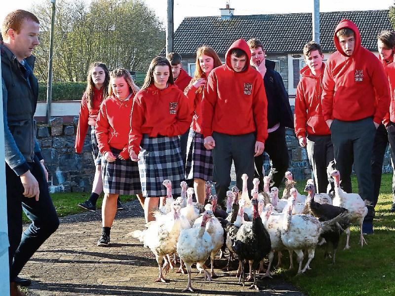 Colaiste Iosagain TY's turkey project visits Oakdale Nursing Home