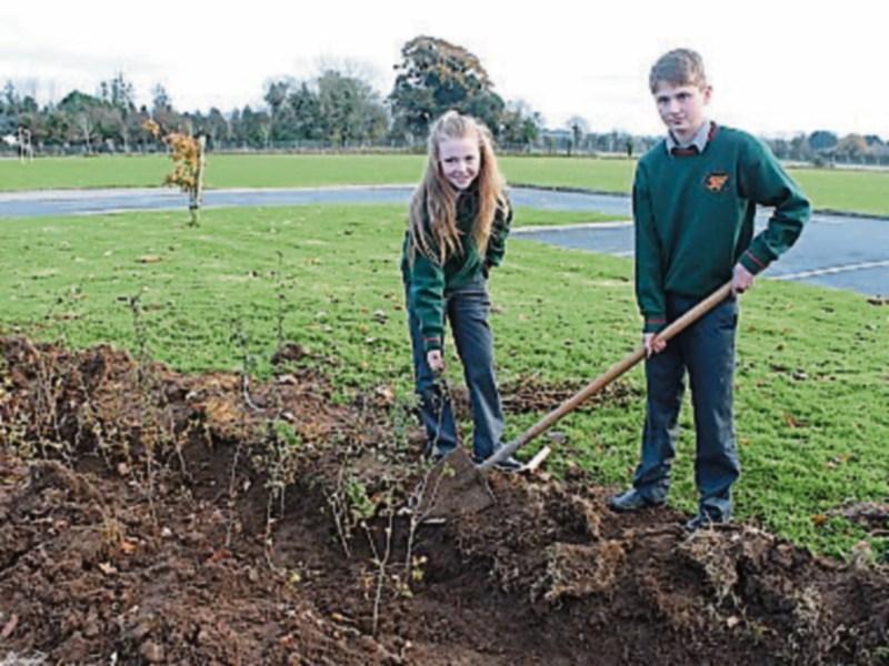 New hawthorns enrolled in St Fergal's Rathdowney